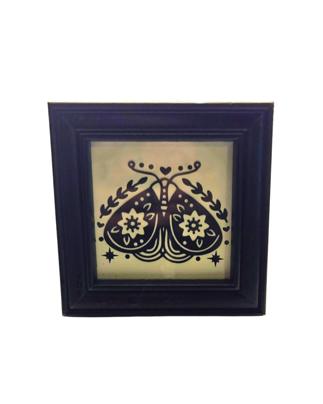 Cute Moth
