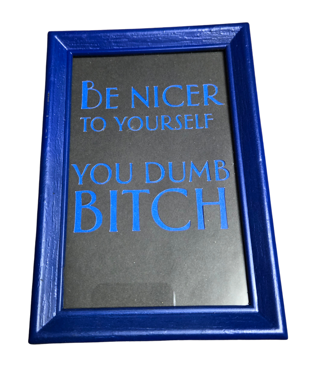 Dumb Bitch