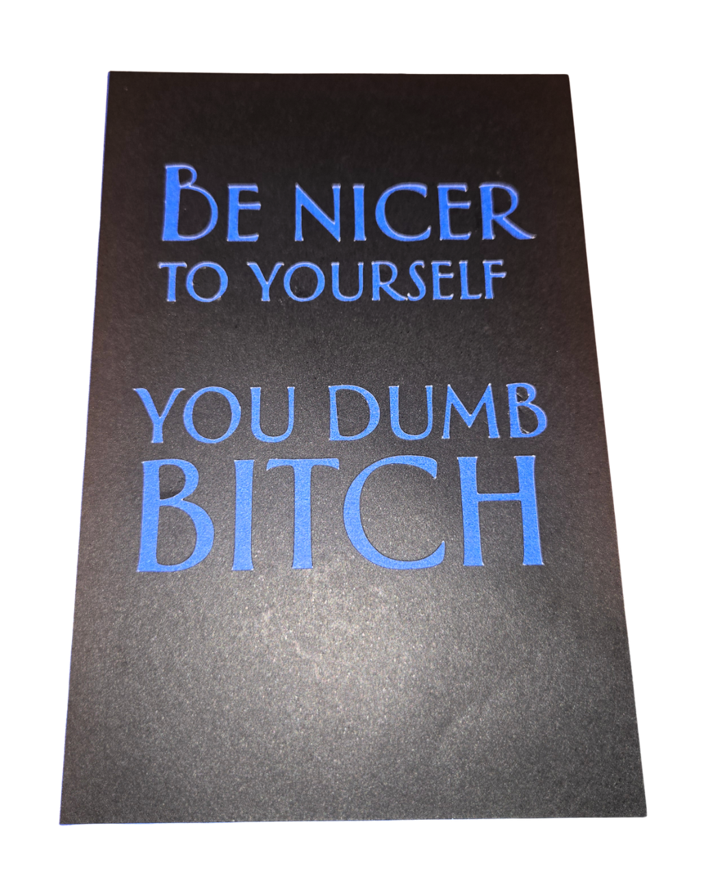 Dumb Bitch