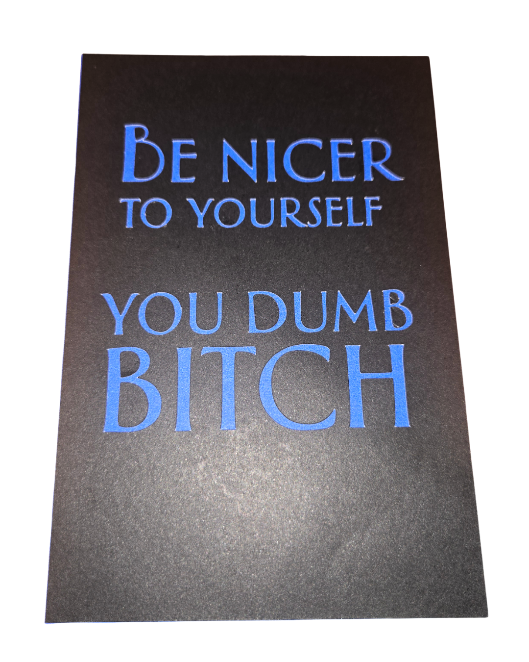 Dumb Bitch